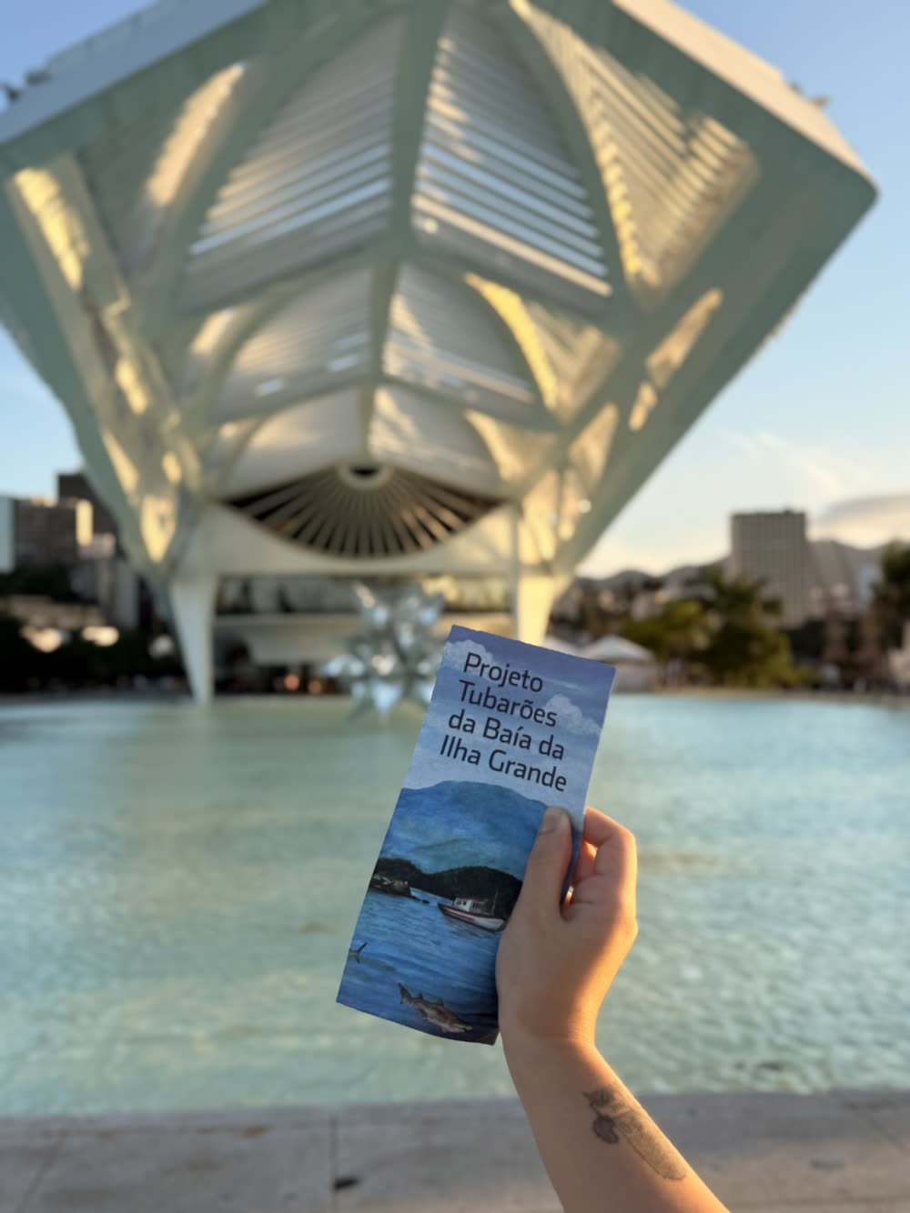Mão segura o folder do Projeto Tubarões da Baía da Ilha Grande diante da fachada do Museu do Amanhã, no Rio de Janeiro